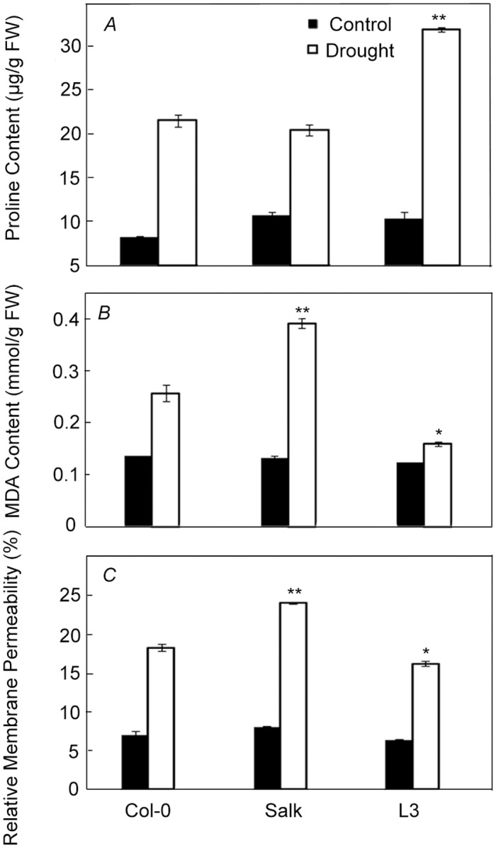 Fig 5