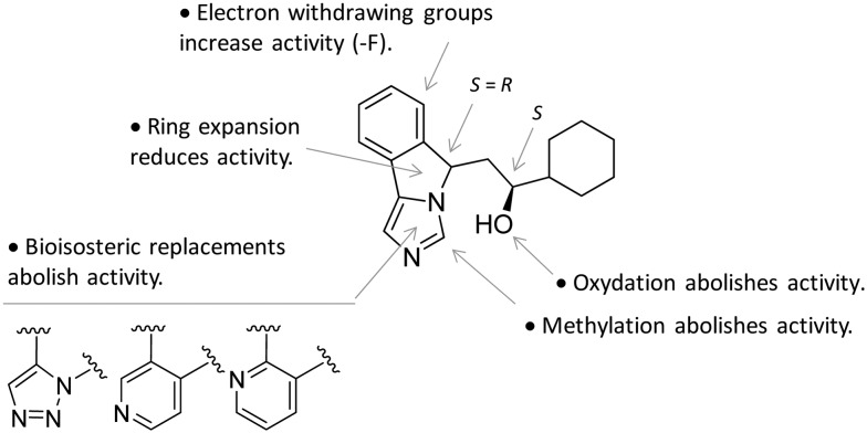 Fig. 12