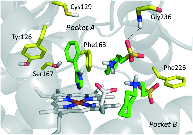 Fig. 9