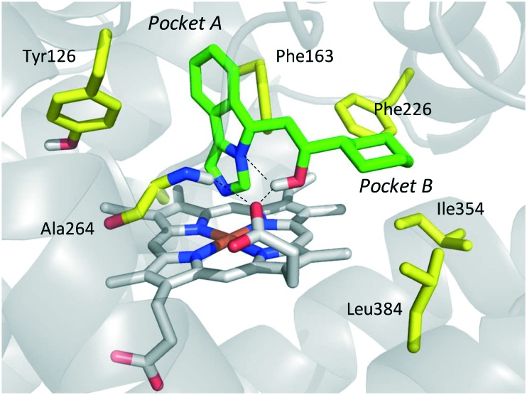 Fig. 11