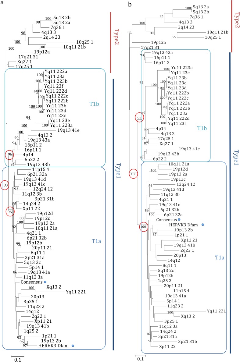 FIG 2