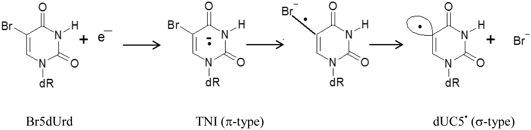 Scheme 1.