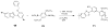 Scheme 4