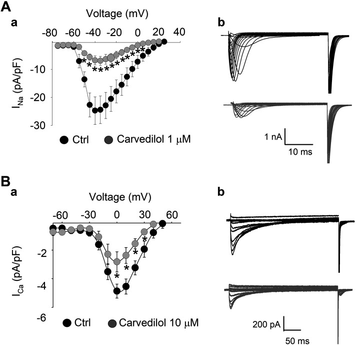 Fig. 5.