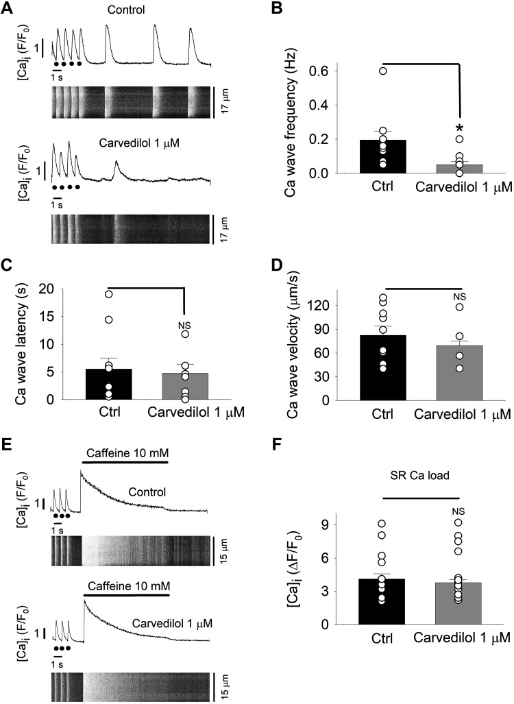 Fig. 8.