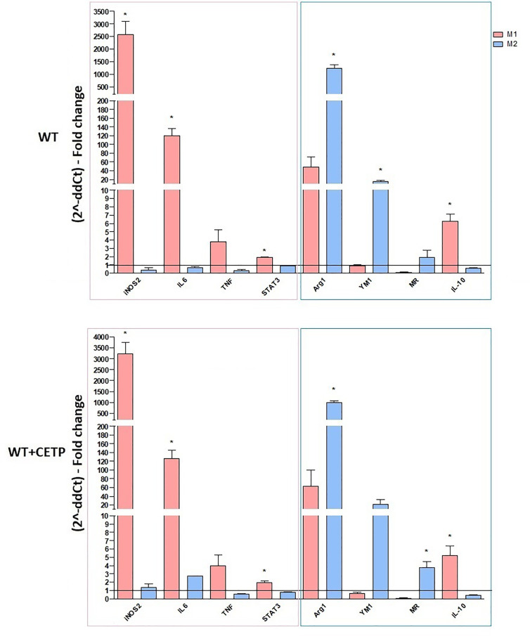 Figure 6