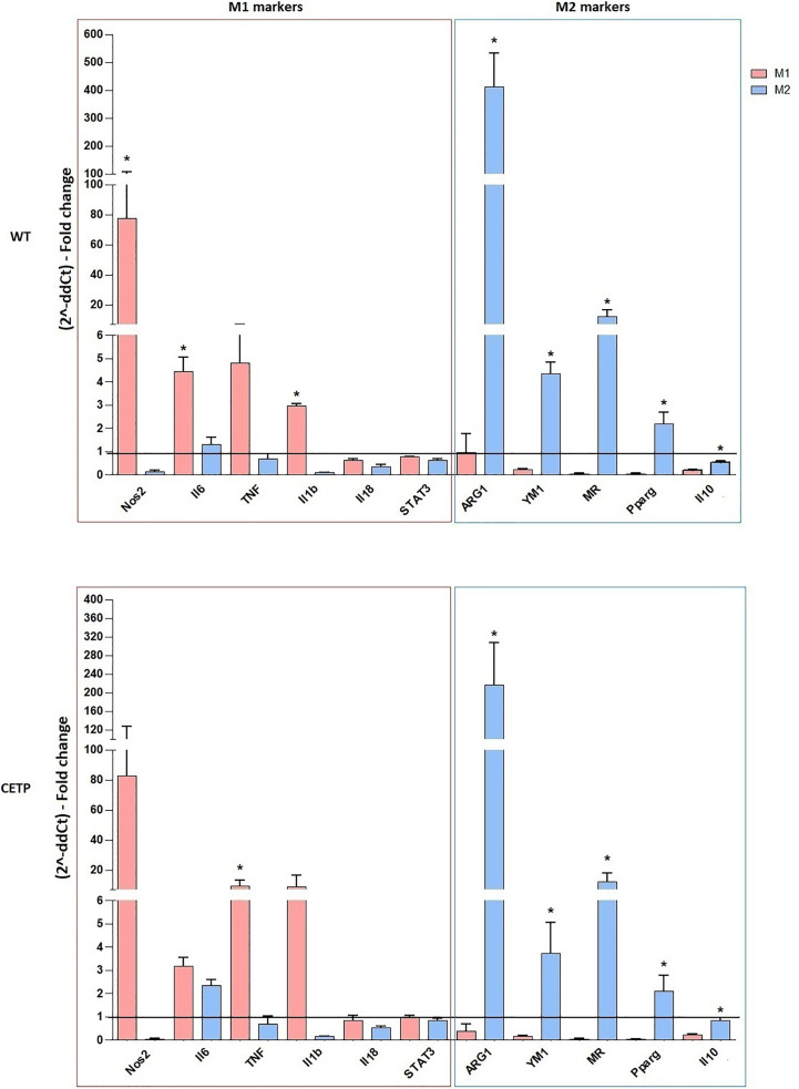 Figure 2