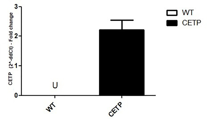 Figure 1