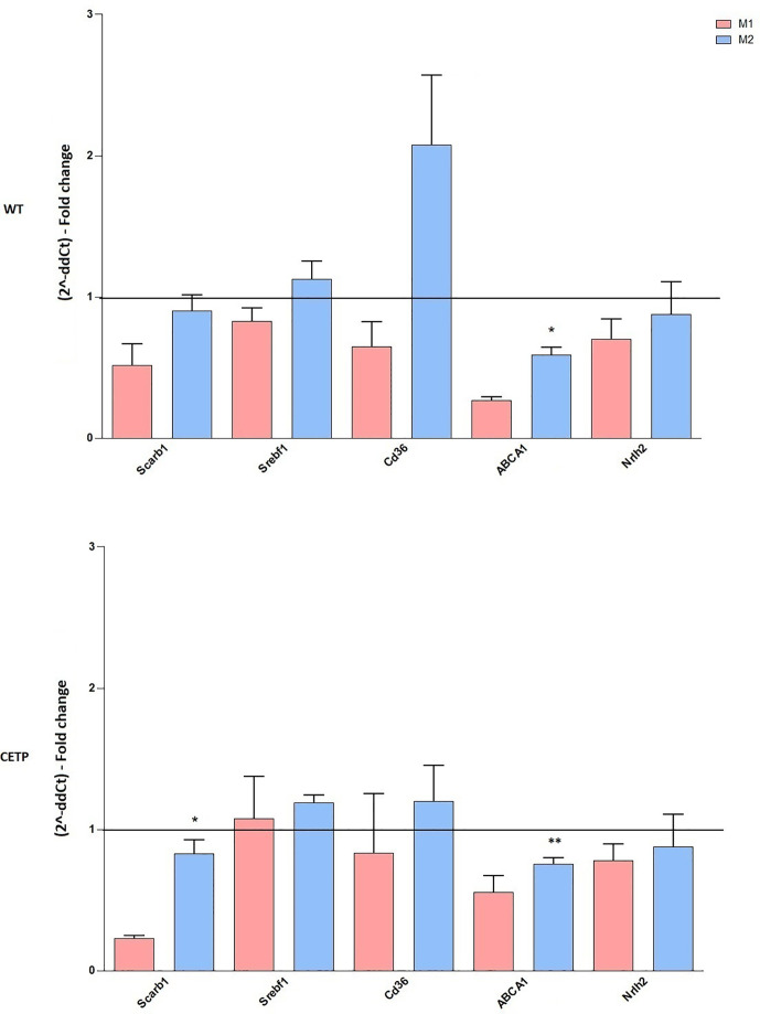 Figure 3