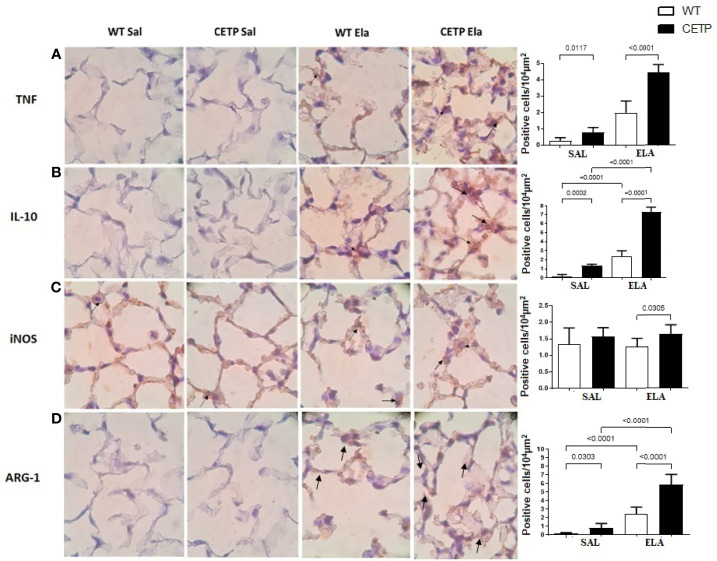 Figure 11