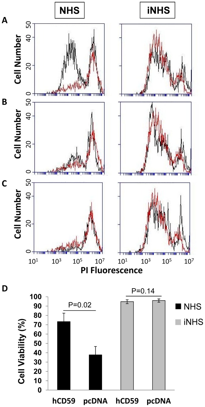 Figure 7