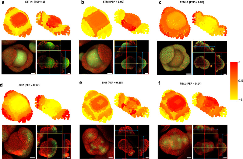 Fig. 3