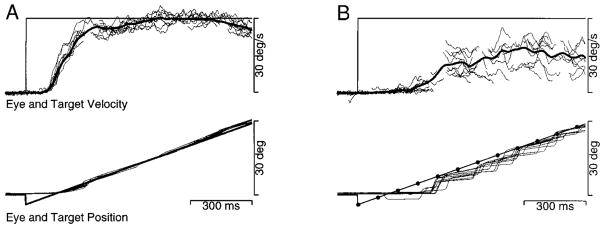 FIG. 13