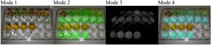 Fig. 3