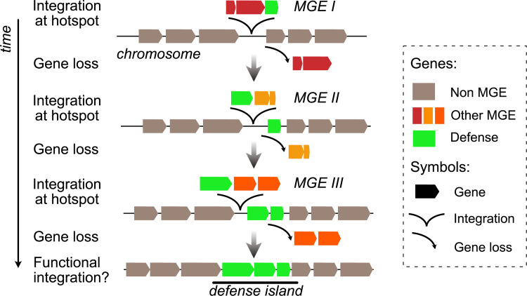 Fig 4