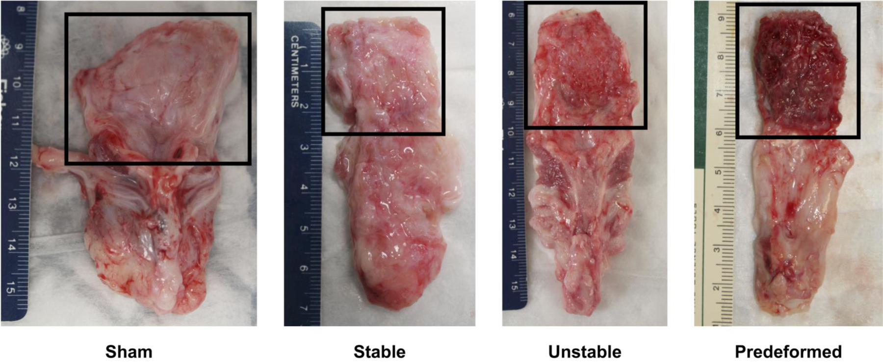 Figure 2: