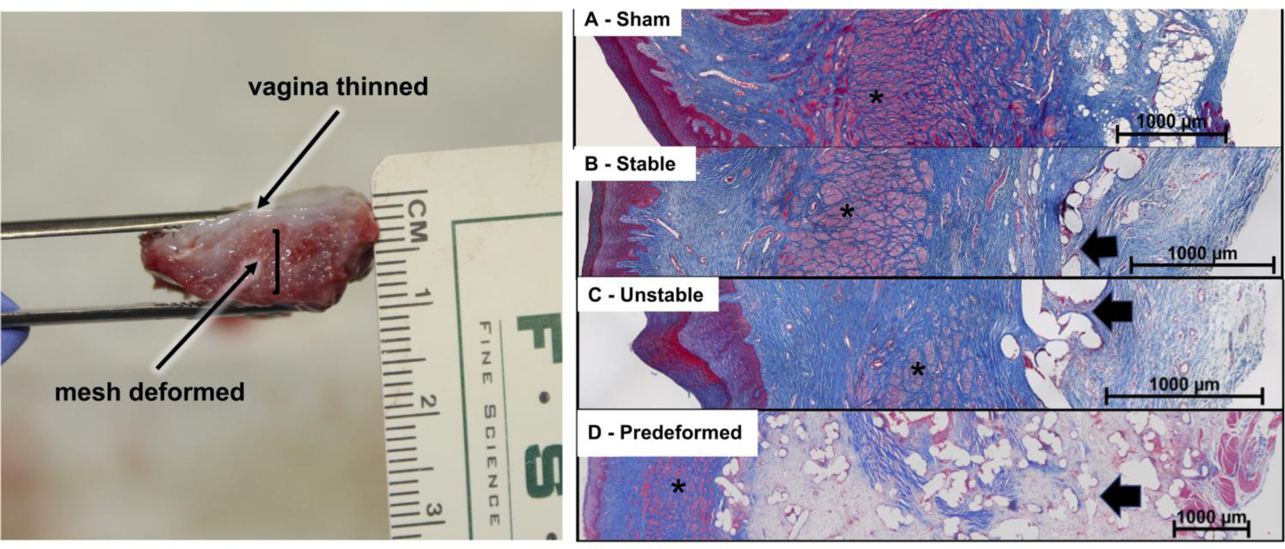 Figure 5: