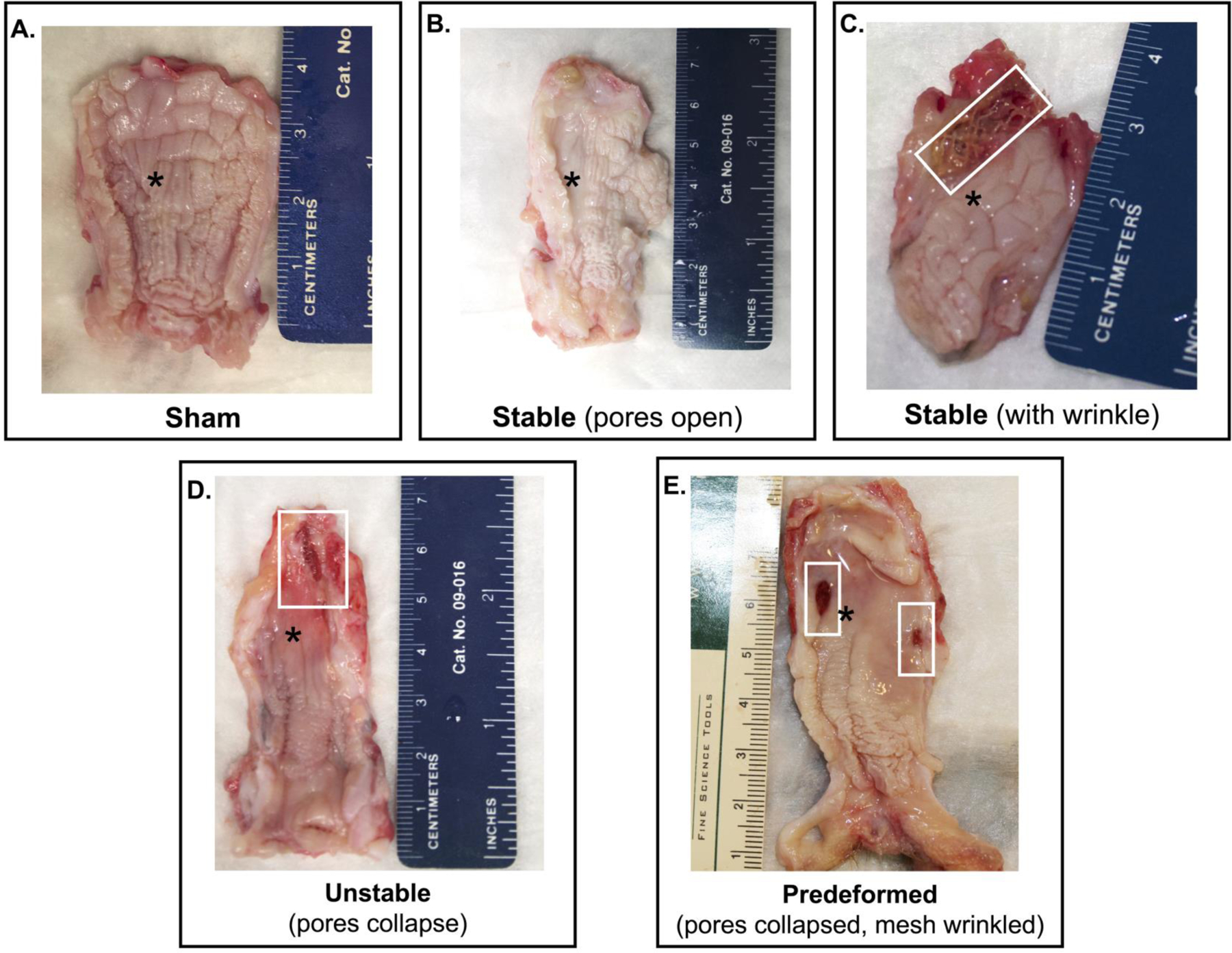 Figure 3: