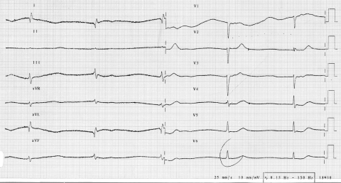 Figure 1)