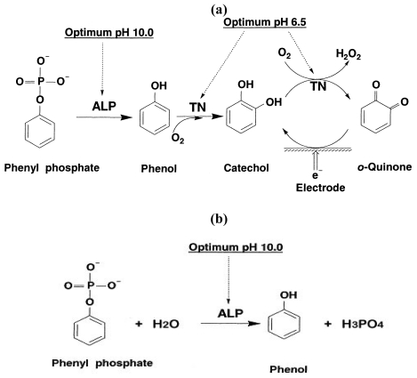 Scheme 1.