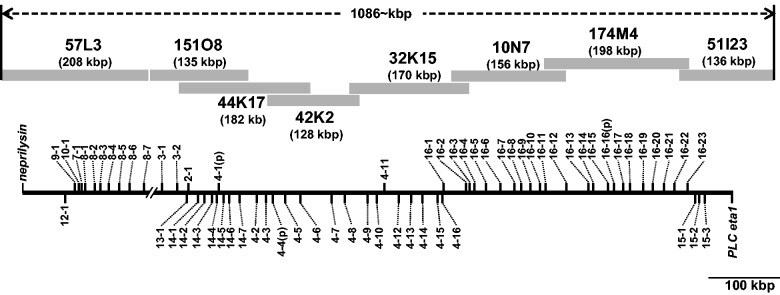 Fig. 1.—