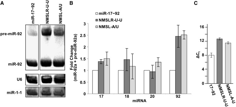 Figure 6.