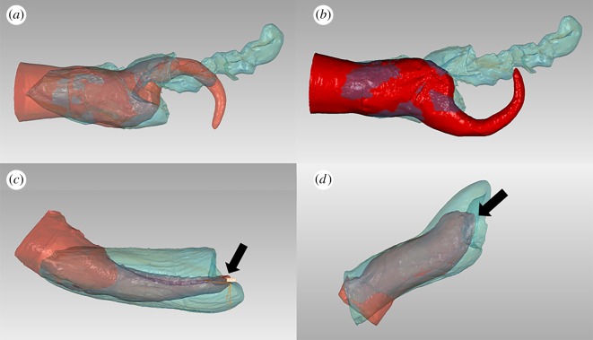 Figure 2.