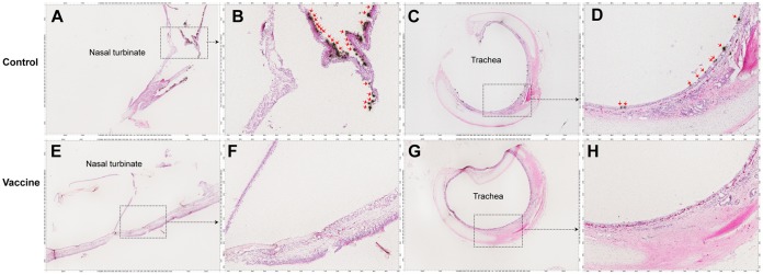 FIG 5