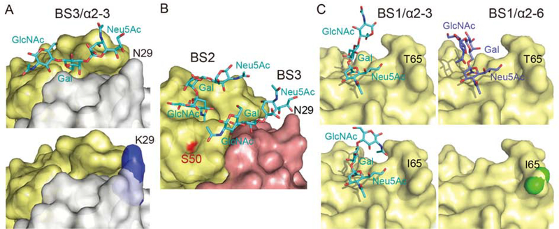 Figure 6.