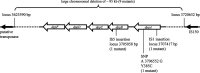 FIG 3