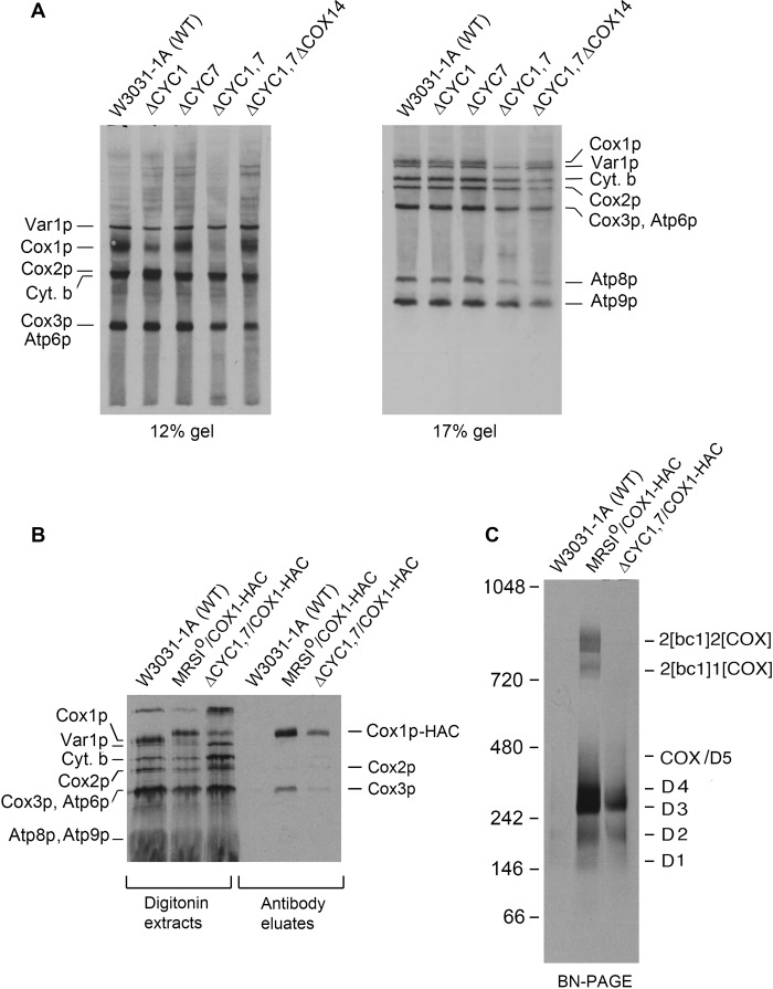 FIGURE 6.