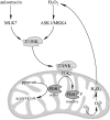 <b>FIG. 5.</b>