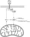 <b>FIG. 4.</b>