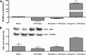 <b>FIG. 3.</b>