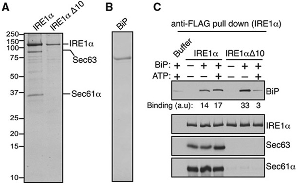 Figure 5.