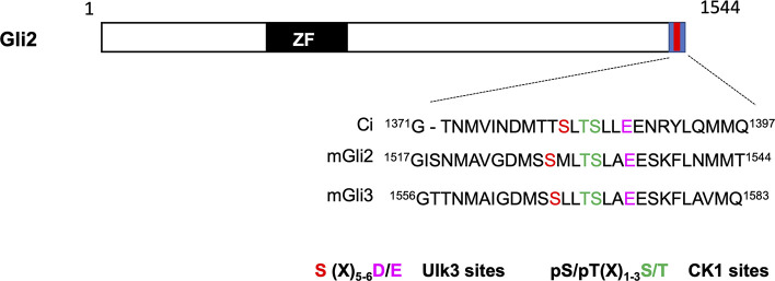 Figure S4.