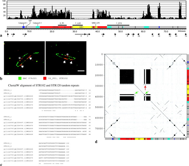 Figure 3.—