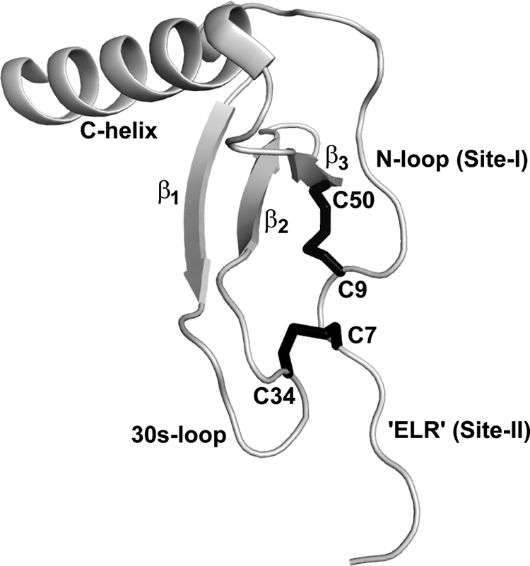 FIGURE 1.