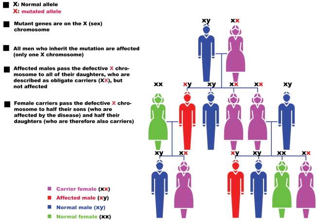 Fig. (3).