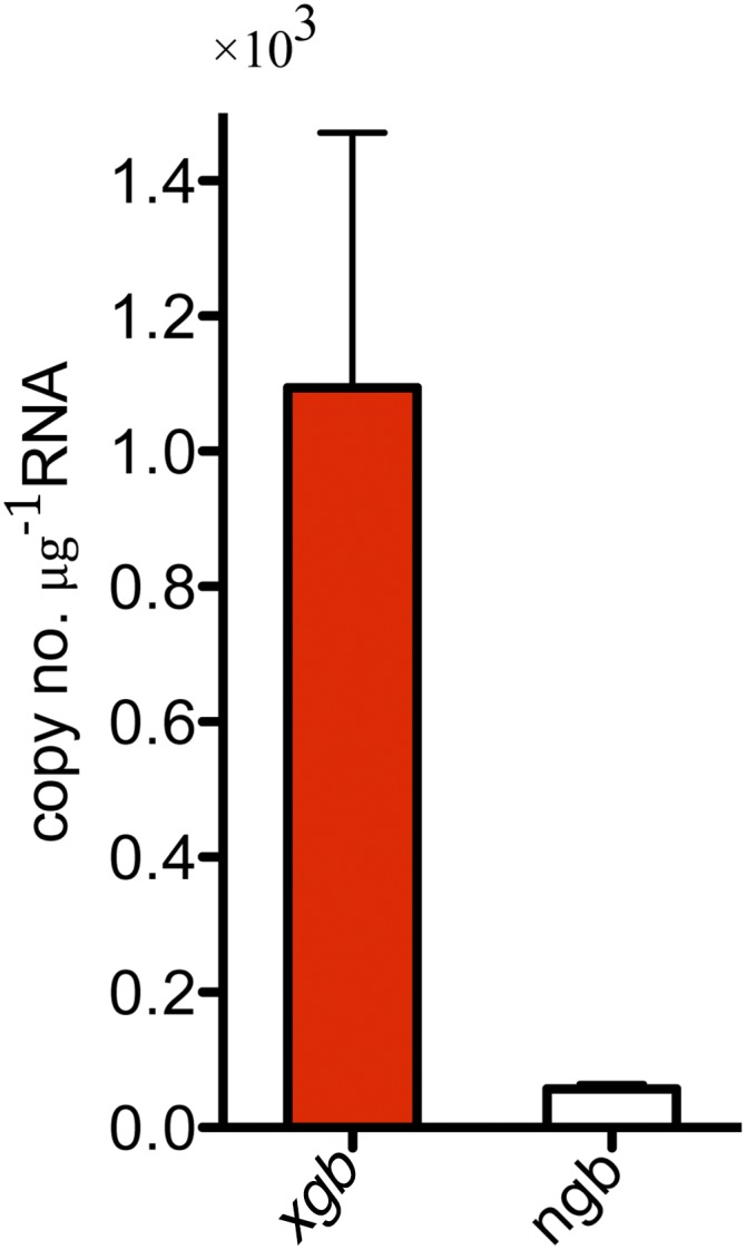 Fig. S2.