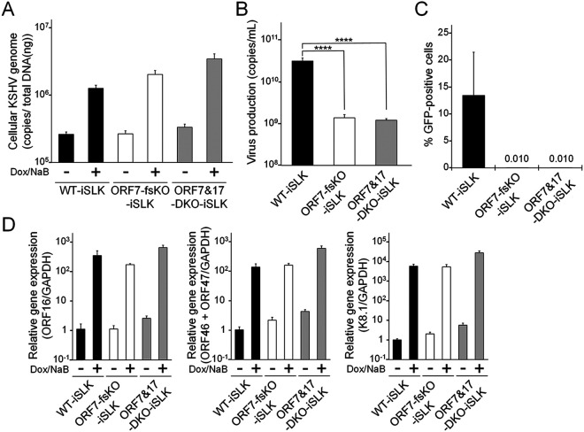 FIG 6