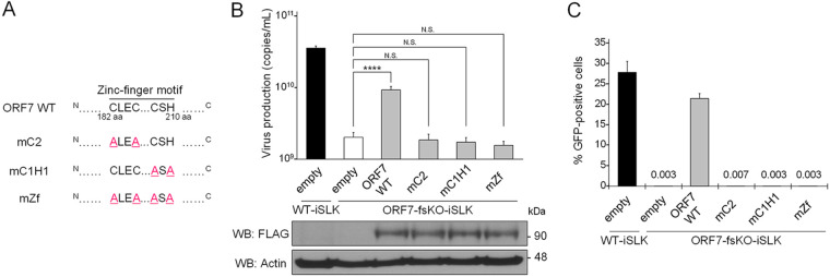 FIG 8