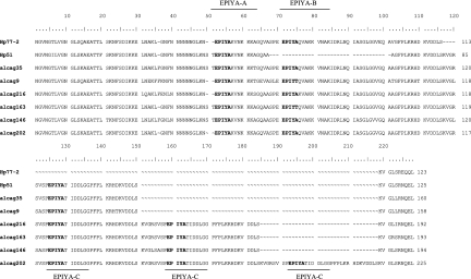 FIG. 4.