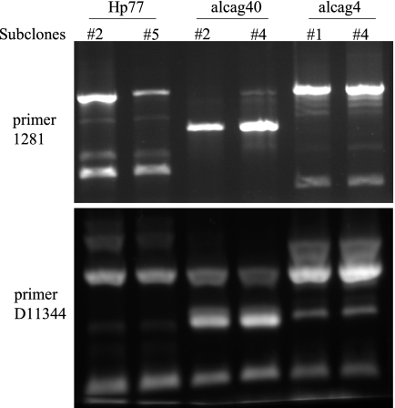 FIG. 3.