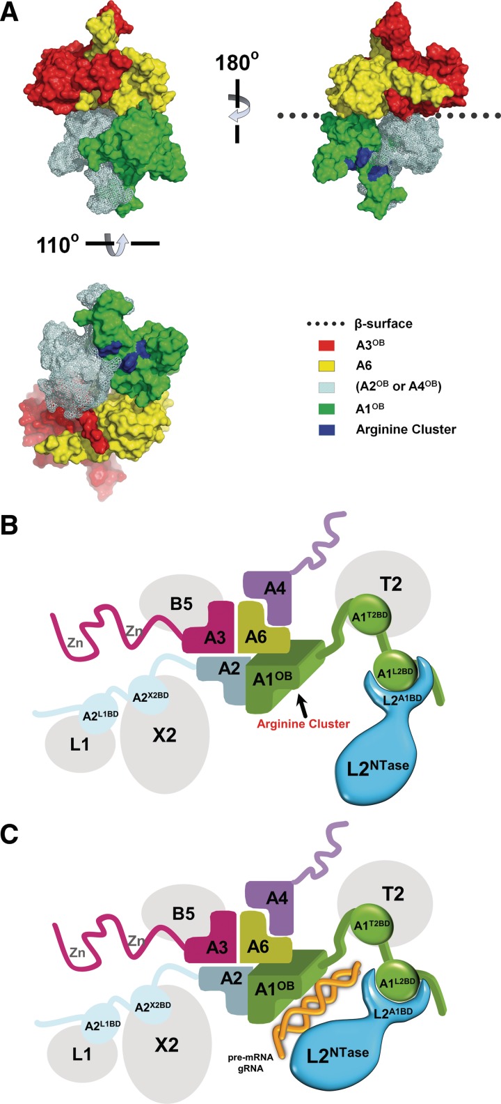 Figure 6.