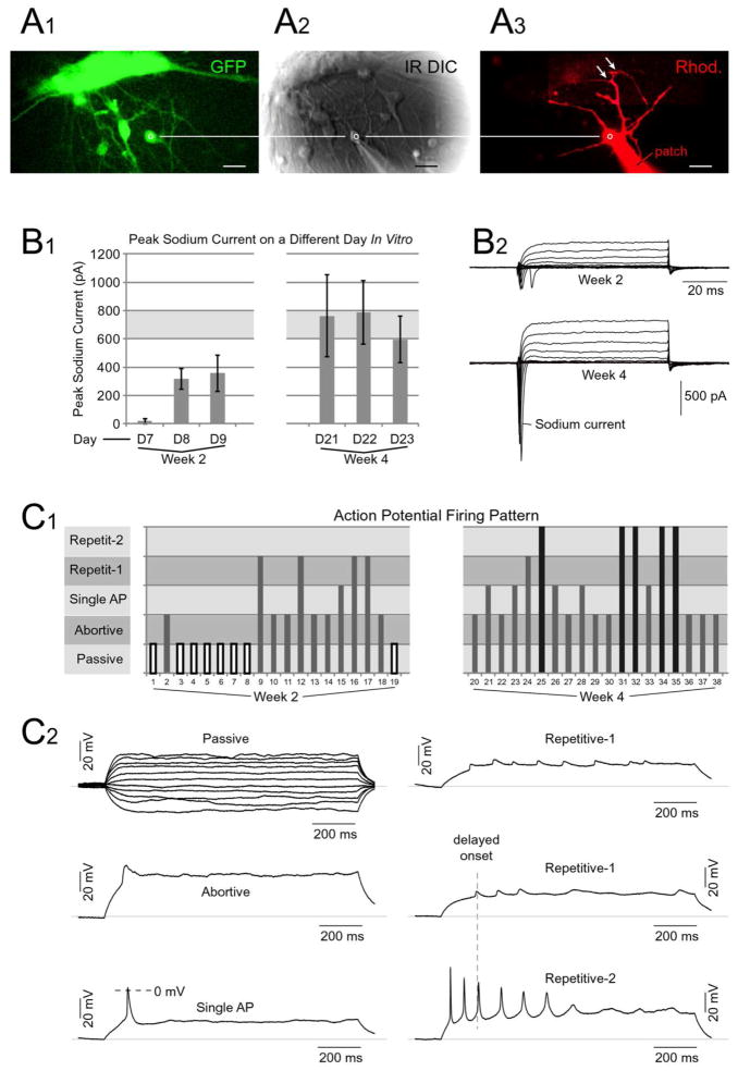 Figure 6