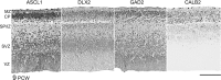 Figure 7.