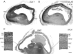 Figure 3.