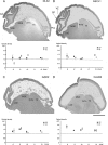 Figure 4.
