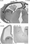 Figure 5.